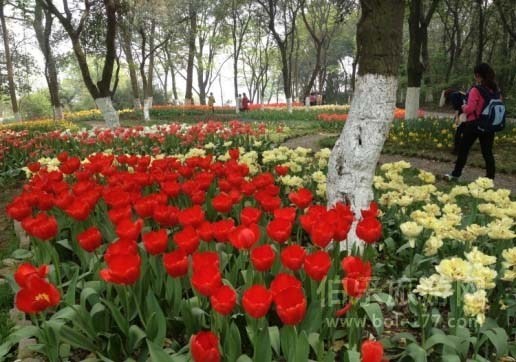 植物園