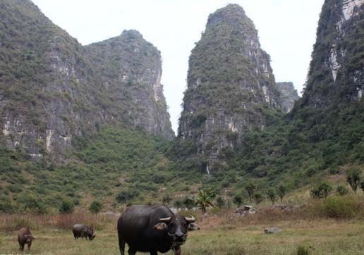 陽(yáng)朔風(fēng)光.jpg